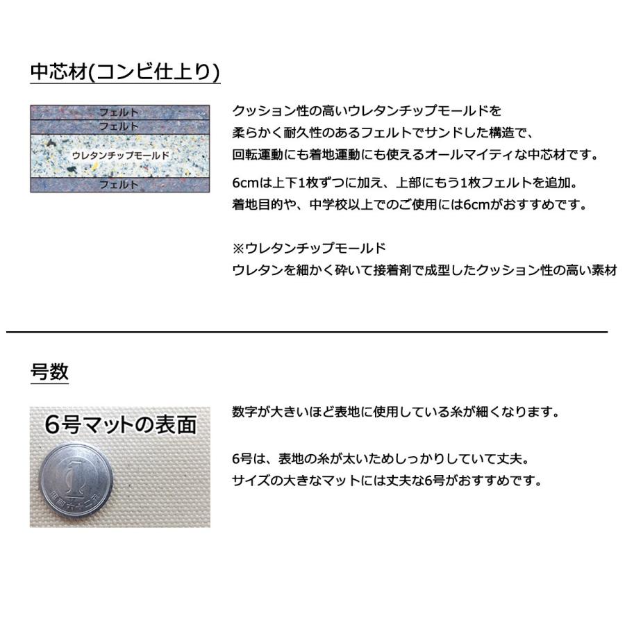 体操マット 学校 マット運動 体育用マット 0249T 6号 150×600×厚6 日本製 SGマーク付の画像