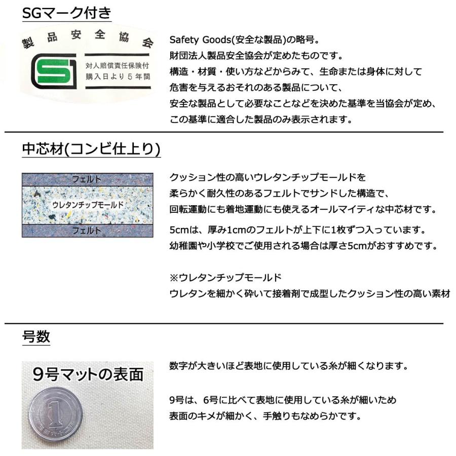 体操マット 学校 マット運動 滑り止め付 体育用マット 0517T 9号 120×600×厚5 日本製 SGマーク付の画像