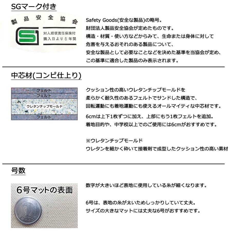 体操マット 学校 マット運動 滑り止め付 体育用マット 0541T 6号 90×180×厚6 日本製 SGマーク付の画像
