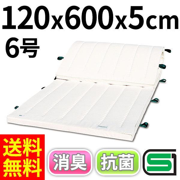 体操マット 学校 マット運動 消臭 抗菌 体育用マット 8227T 6号 120×600×厚5 日本製 SGマーク付の画像