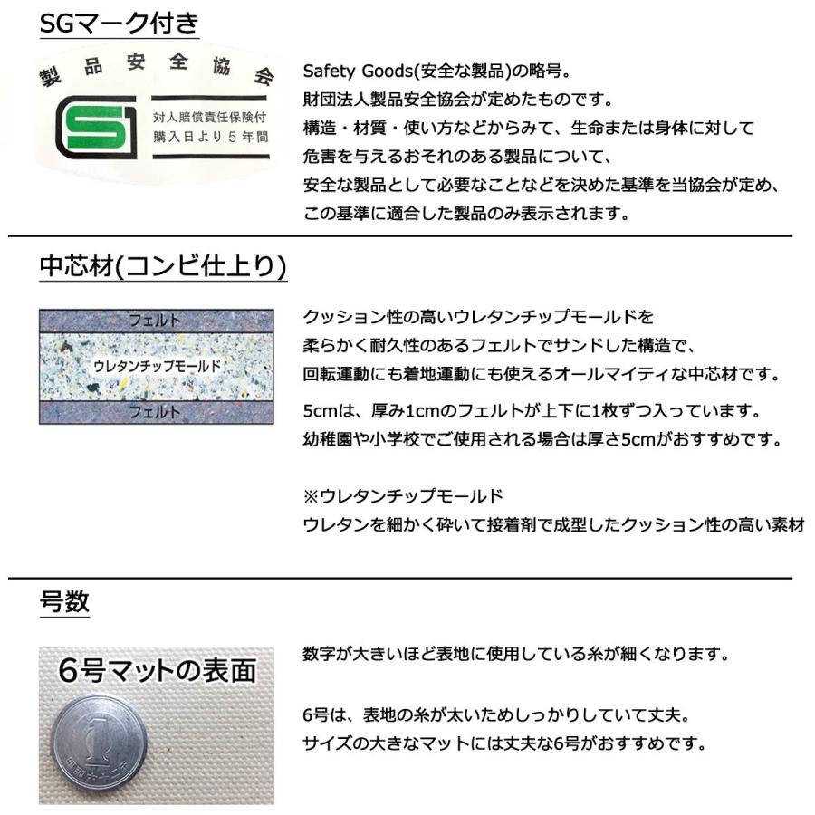 体操マット 学校 マット運動 消臭 抗菌 体育用マット 8227T 6号 120×600×厚5 日本製 SGマーク付の画像