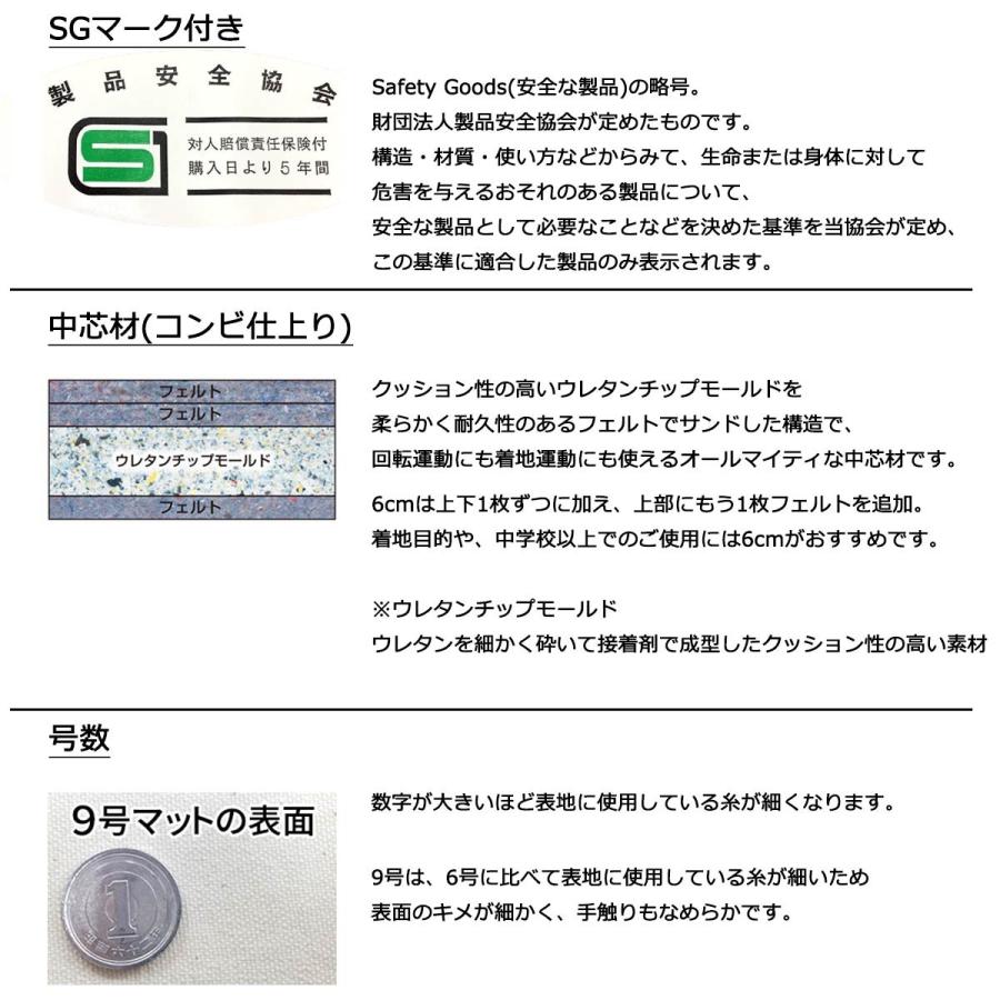 体操マット 学校 マット運動 消臭 抗菌 体育用マット 8237T 9号 120×600×厚6 日本製 SGマーク付の画像