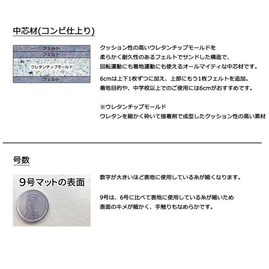 体操マット 学校 マット運動 滑り止め付 消臭 抗菌 体育用マット 8531T 9号 90×180×厚6 日本製 SGマーク付