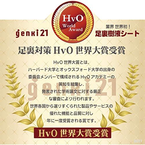 genki21 『薬草genki樹液シート EX』20枚入 【ノーマル粘着テープ付】｜tsunagust｜03