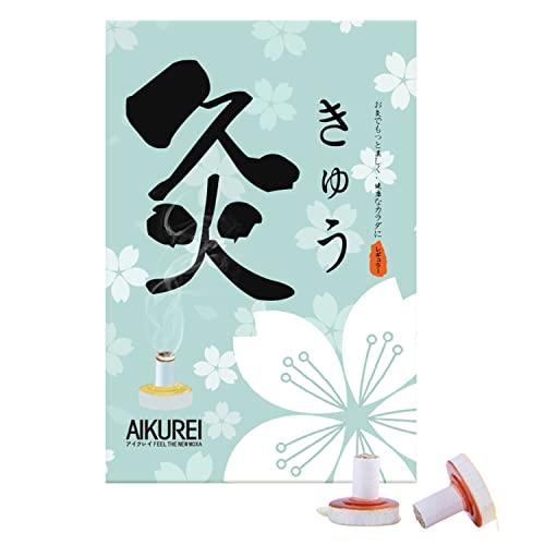 アイクレイ台座灸 200個入り レギュラー（温熱：約47度） お灸の
