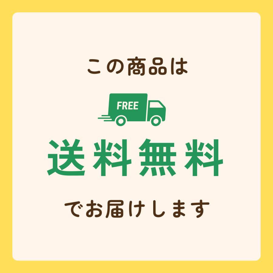 おためし非常食セット 尾西食品　ゆうパケット　ポスト投函　メール便　アルファ米　携帯おにぎり　鮭　おかゆ　ドライカレー　わかめごはん 1日分 1人 安い | 尾西食品 | 03