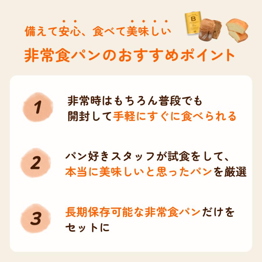 非常食 パンの詰め合わせ 10個 ひだまりパン 保存パン 非常食セット パン 防災食 長期保存 防災 尾西食品 長期保存パン プレーン チョコ メープル メロン | 尾西のひだまりパン | 02