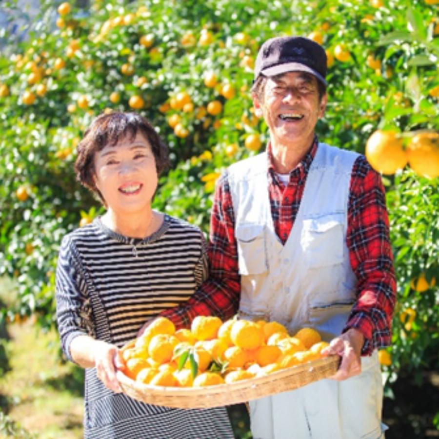 奥伊勢ゆずのアイスケーキ 6個セット |  | 05