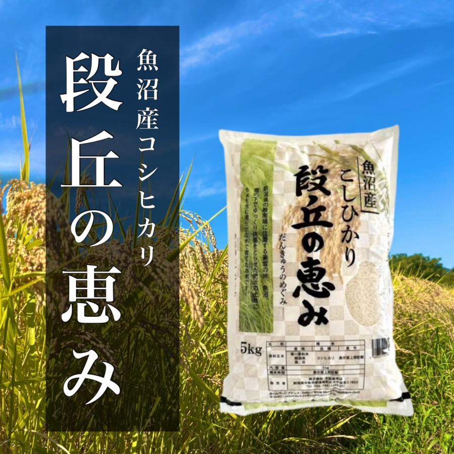 新潟県魚沼産こしひかり 10kg(5kg×2袋)