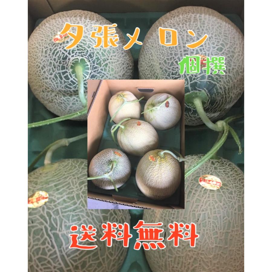 玄関先迄納品 数量限定 個撰 夕張メロン大箱 4玉〜6玉入り 1箱あたり8kg前後 玄関先迄納品 数量限定 個撰 夕張メロン大箱 4玉〜6玉入り 1箱あたり8kg前後