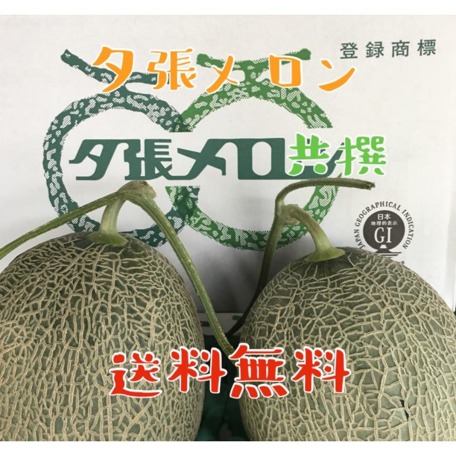 予約販売 本 共撰 良品 夕張メロン 2玉 1玉あたり1 3 1 6kg前後