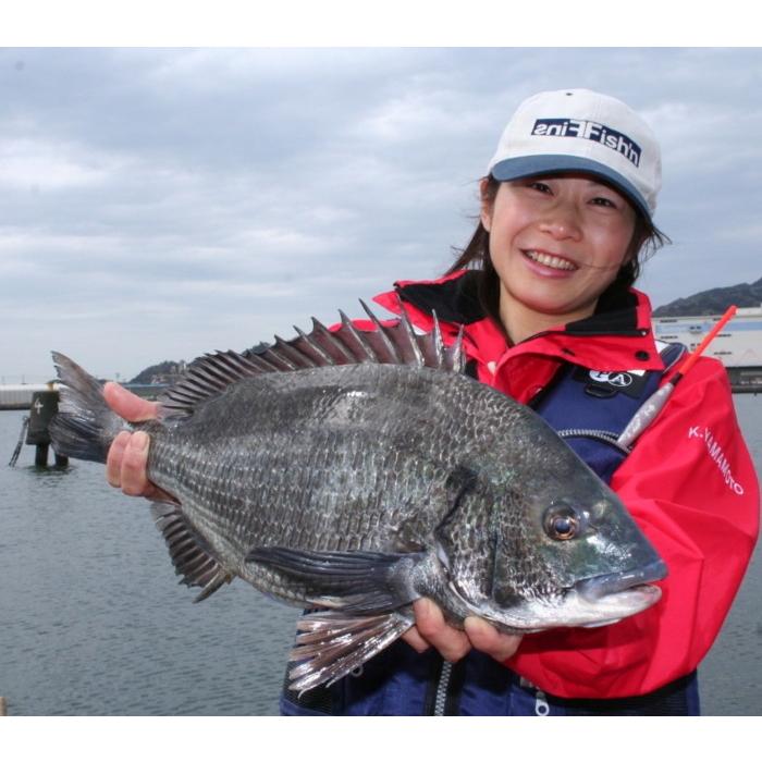 彩うき 新 遠投クロダイ もえぎ 5 1 2号 1 5号 チヌ 黒鯛 棒ウキ お取り寄せ 釣人館ますだ Paypayモール店 通販 Paypayモール