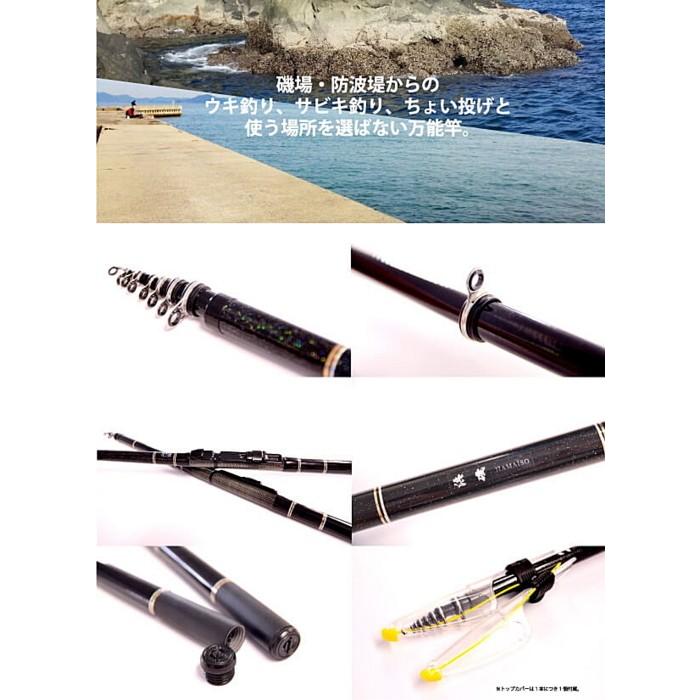 FIVE STAR（ファイブスター） 磯・波止 ウキ釣り入門セット 浜磯 2号 