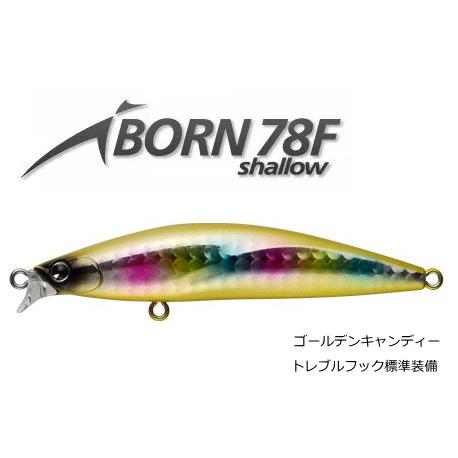 ima（アイマ） アムズデザイン アイボーン 78Fシャロー #ゴールデン
