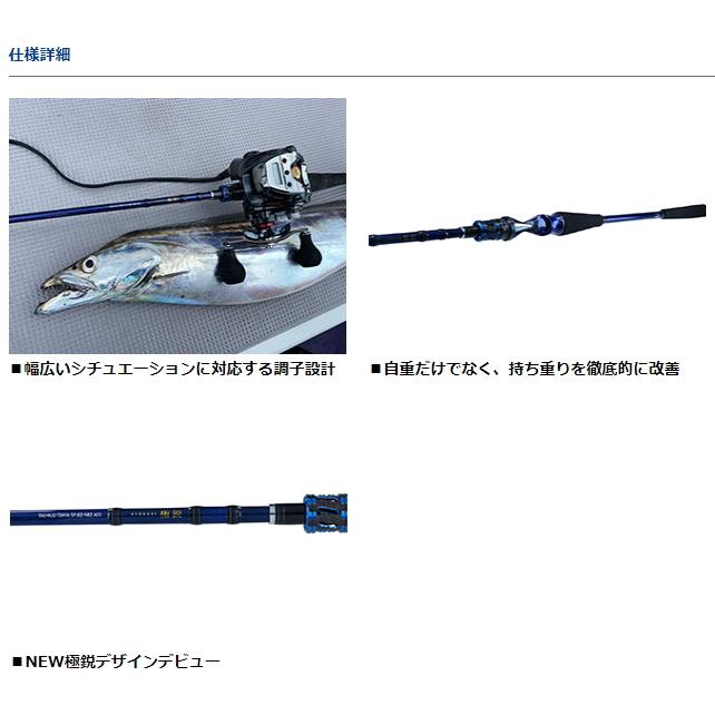 DAIWA（ダイワ） 船竿 20 極鋭タチウオ テンヤSP 91-180AGS ベイト