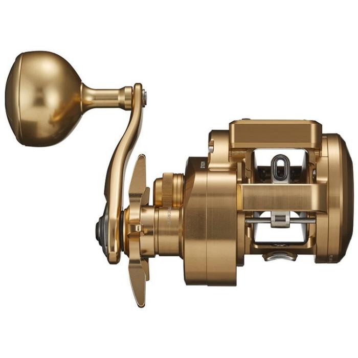 DAIWA（ダイワ） ベイトリール 21 バサラ IC 250P 右ハンドル / 釣具