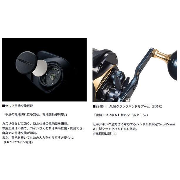 DAIWA（ダイワ） 25 ソルティガ IC 300-C 右ハンドル / ベイトリール