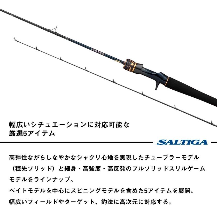 DAIWA（ダイワ） 25 ソルティガ LJ EX 61XXHB TG ベイトモデル