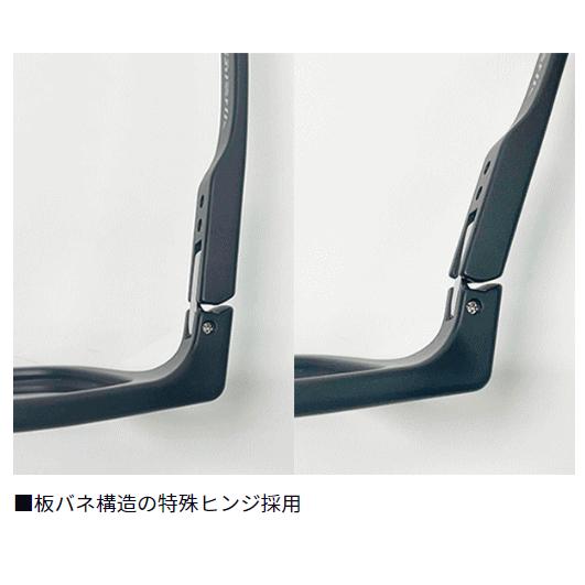 ダイワ 偏光グラス TLX 024 #トゥルービュー / daiwa 釣具の画像