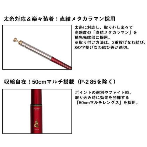 ダイワ 25 遡 フレイムホーク P-5 95M・E / 渓流竿 daiwa 釣具_3