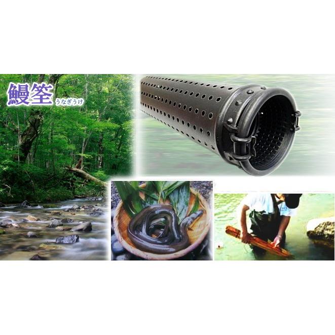 鰻掻き　うなぎ取り　ウナギ マルシン漁具 Pウナギテボ （うなぎカゴ・もんどり・うなぎうけ