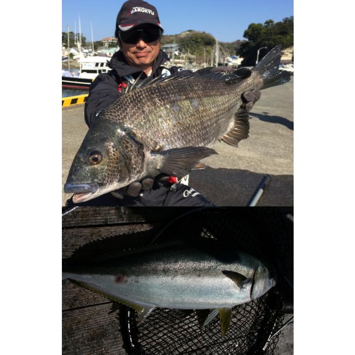 彩ウキ 海上釣堀専用 あやめ 1.5号 / ウキ メール便可 : 釣人館ますだ