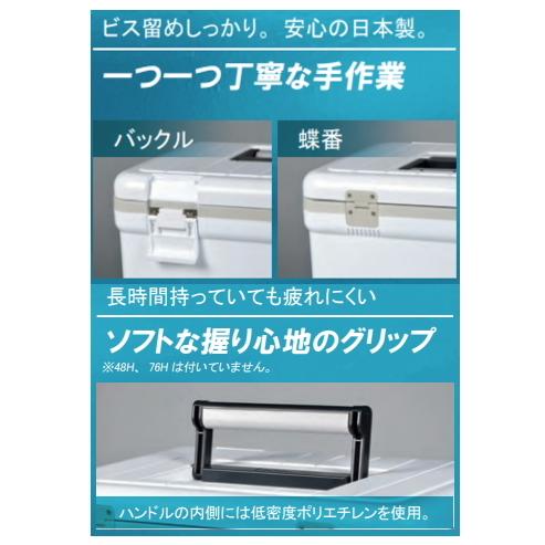 楽天市場】伸和 クーラーボックス ホリデーランド ブルーの通販 