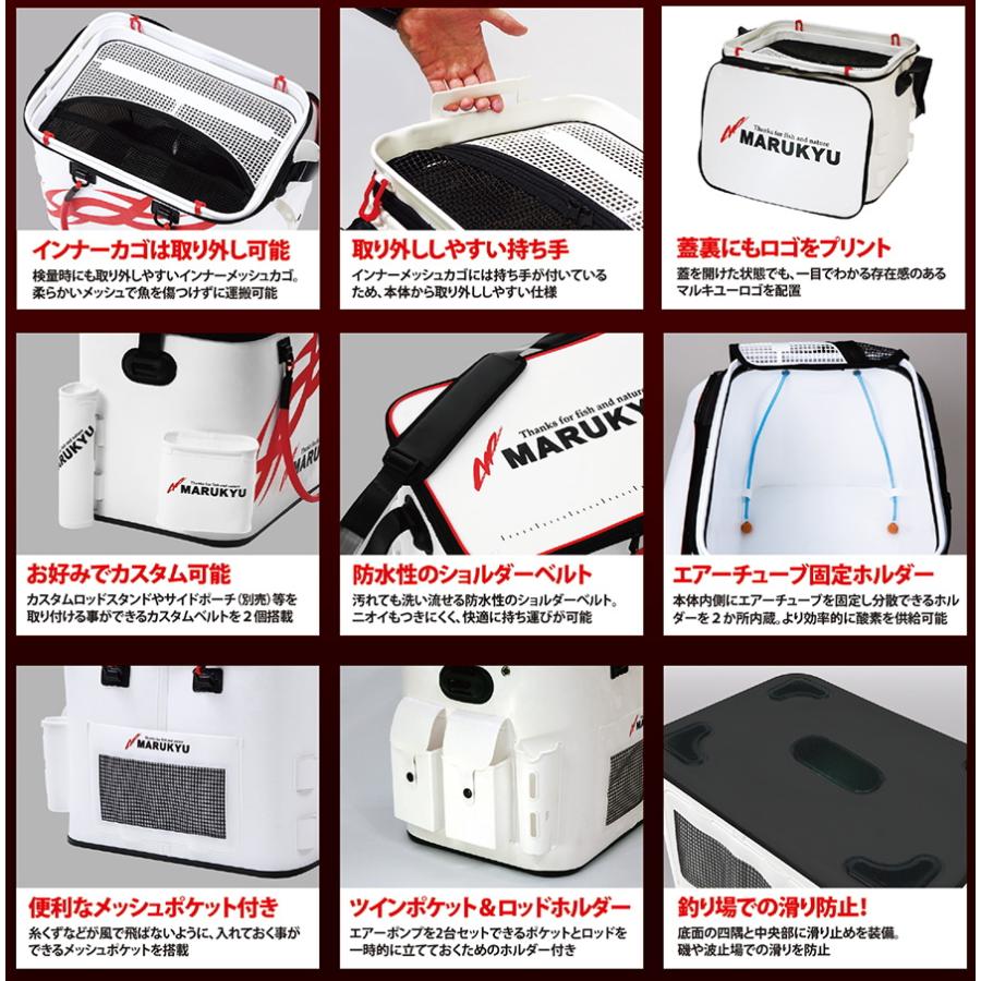 マルキュー パワーバッカン SL5 (スーパーライブウェル) 45cm / 活かしバッカン 4905789181468釣人館ますだ