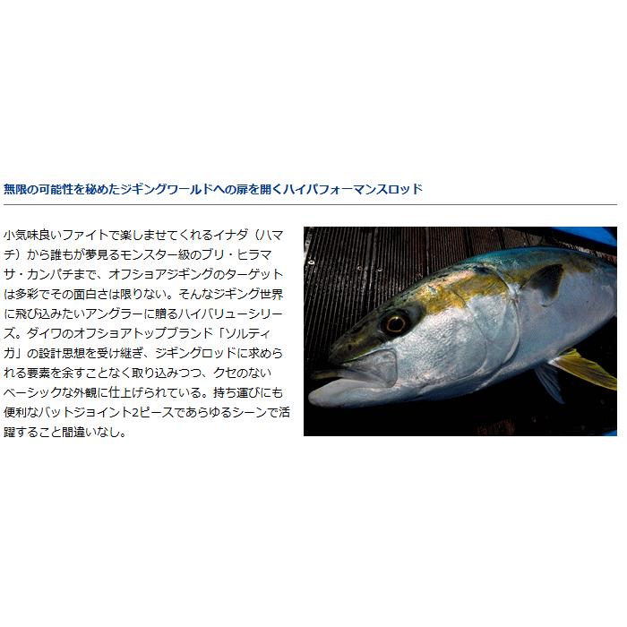 DAIWA（ダイワ） ジギングロッド ヴァデル 61MLS / daiwa / 釣具