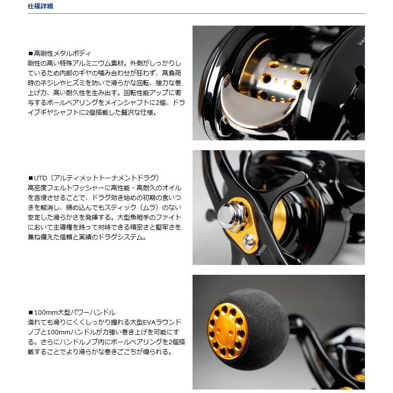 DAIWA（ダイワ） ヴァデル ベイジギング 100SH 右ハンドル / daiwa