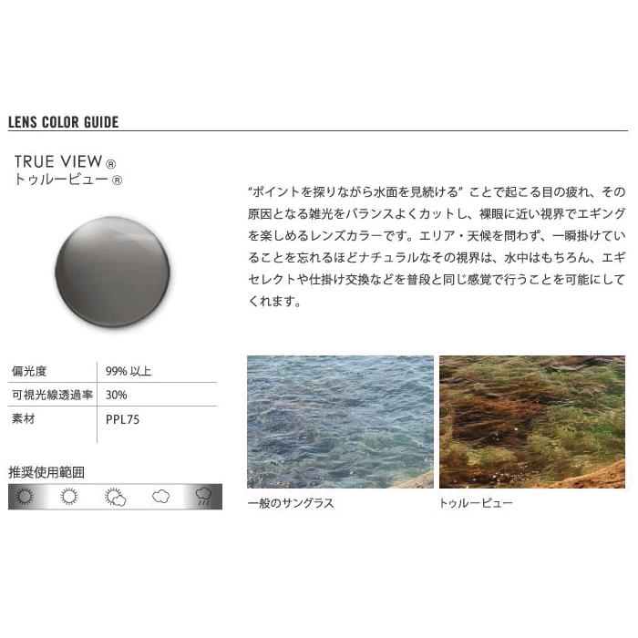 【公式】 ダイワ TLX005 トゥルービュースポーツ / タレックス TALEX偏光グラス (送料無料) (D01) (O01) 【2061435642】(12935円)