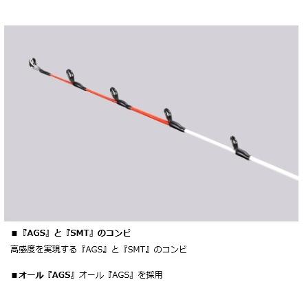 船竿 ダイワ 極鋭ギア MH-205 AGS / daiwa / 釣具 (＋10 
