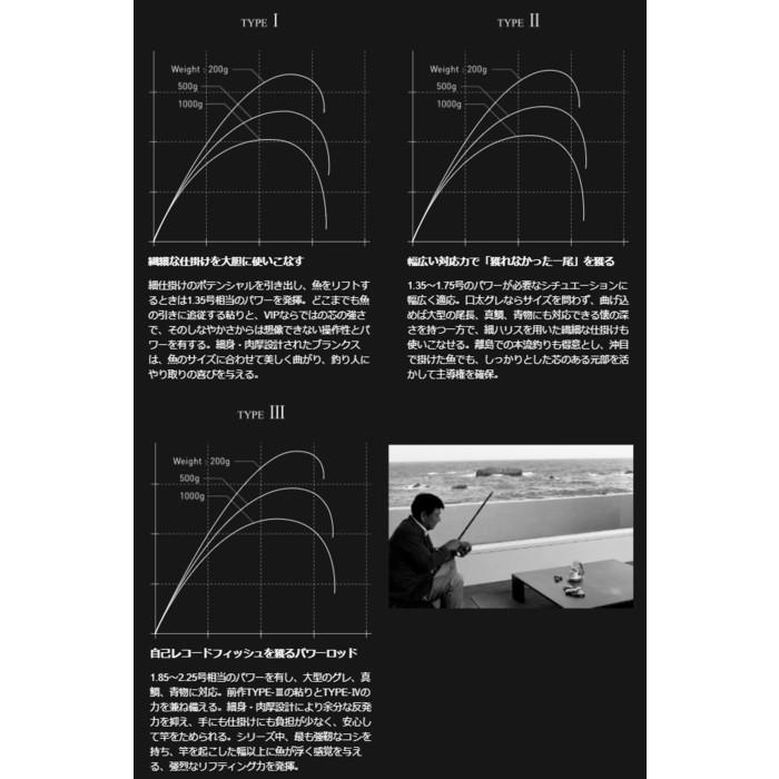 DAIWA（ダイワ） 磯竿 VIP ISO AGS ビップイソ TYPE-3 釣竿 / daiwa