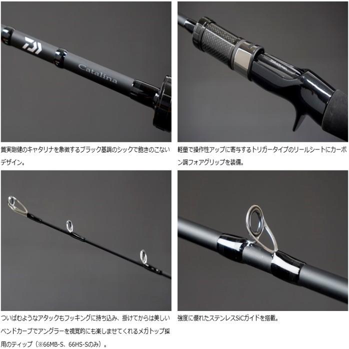 DAIWA（ダイワ） キャタリナ BJ エアポータブル 610MS-METAL