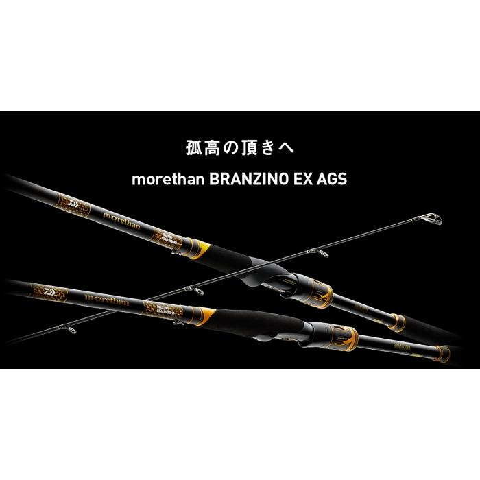 DAIWA（ダイワ） 20 モアザン ブランジーノ EX AGS 1010ML/M