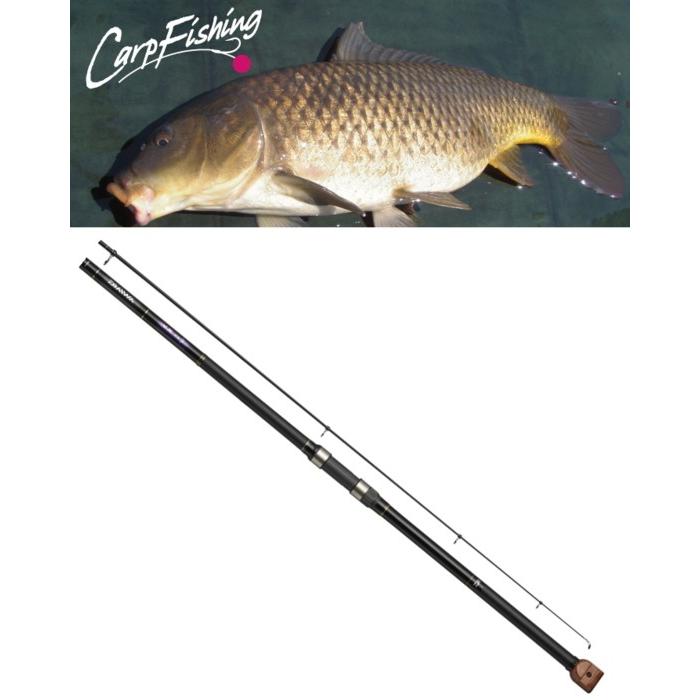 DAIWA（ダイワ） 大鯉専科 MH485遠投・N / 鯉竿 / 釣具 / daiwa : 釣人