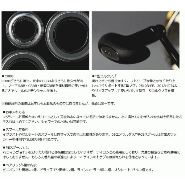 お得なまとめ買い ダイワ 14 エクスファイア 3012h D01 O01 送料無料 セール対象商品 最大級 Www Capcell Com