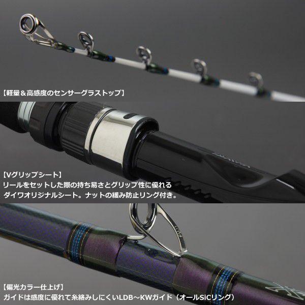 DAIWA（ダイワ） 船竿 ディーオ TSG 100-170 / daiwa / 釣具 : 釣人館