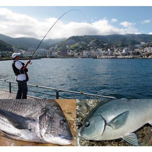 DAIWA（ダイワ） 磯竿 リーガル 4号-45 遠投 / daiwa / 釣具 : 釣人館