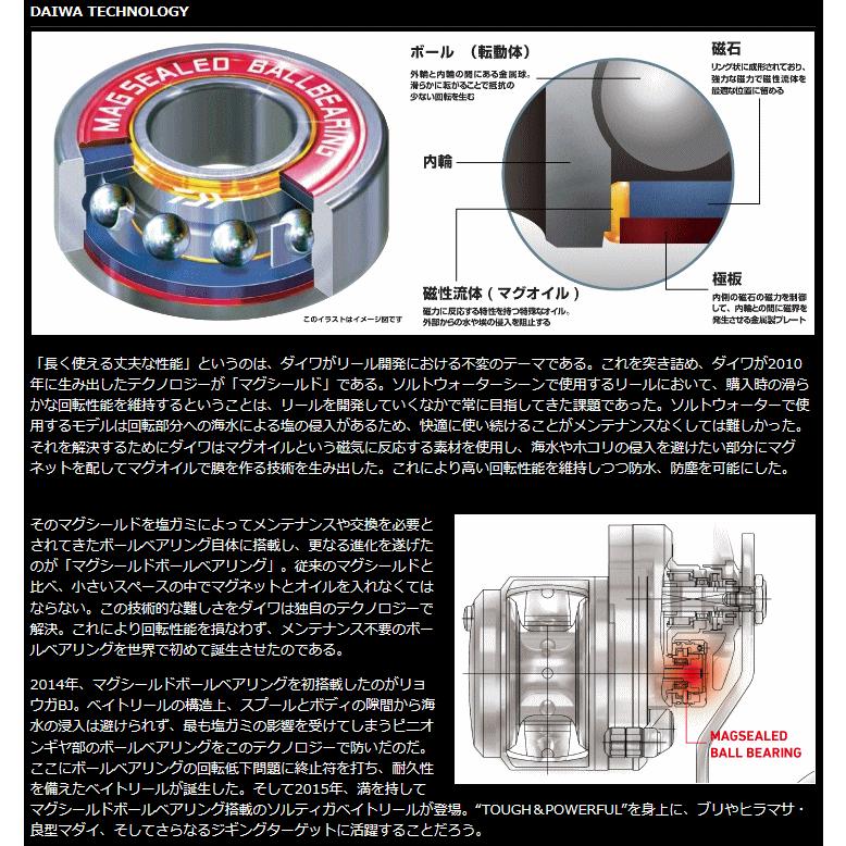 DAIWA（ダイワ） 15 ソルティガ 15H 右ハンドル / 釣具 / daiwa : 釣人