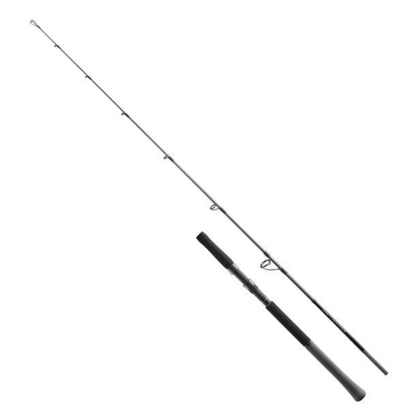 シマノ（SHIMANO） 25 ソルティーアドバンス オフショアモデル