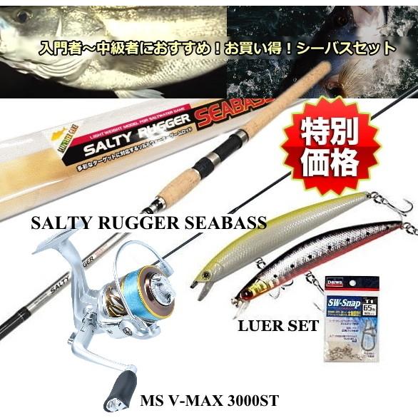 21春夏新作 厳選 シーバス セット ロッド リール ルアー他 釣場に直行 5点セット タイプ1 Sale10 送料無料