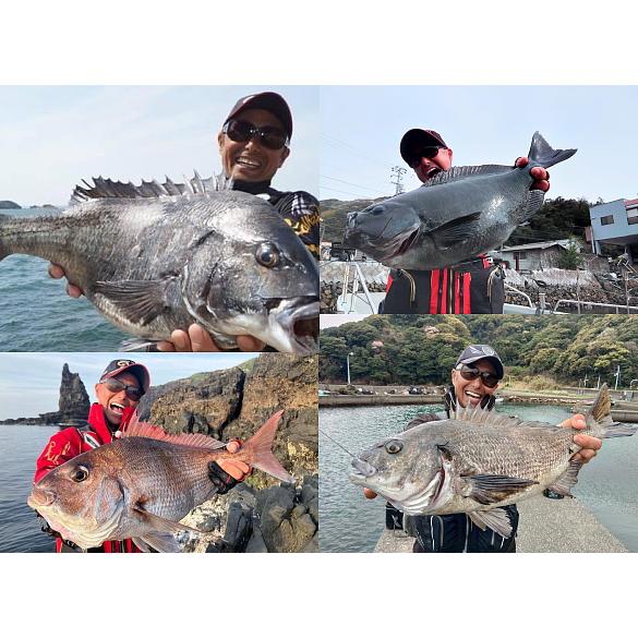 南ウキ 競技スペシャル / 南康史監修 チヌ グレ 磯ウキ フカセウキ 名人ウキ メール便可 (5個以上ご購入で送料無料) | サンライン | 11