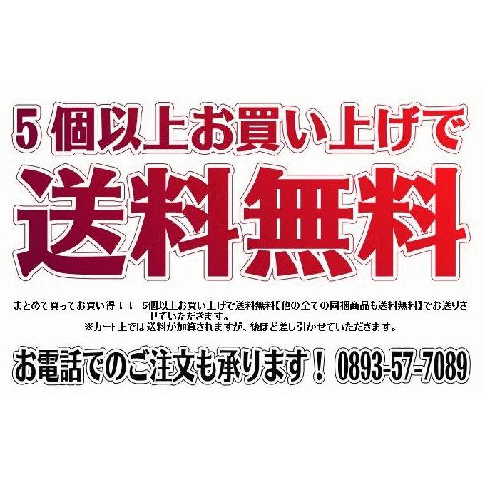 南ウキ 競技スペシャル / 南康史監修 チヌ グレ 磯ウキ フカセウキ 名人ウキ メール便可 (5個以上ご購入で送料無料) | サンライン | 12