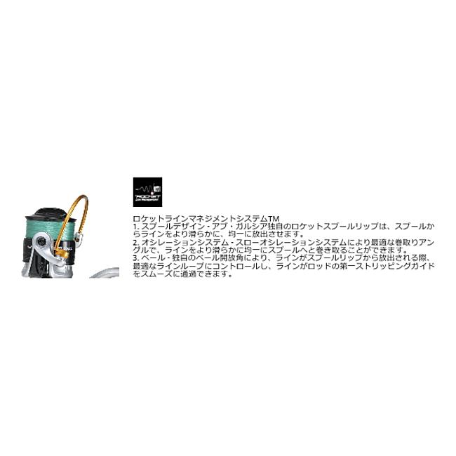 Abu Garcia（アブガルシア） アブ ガルシア カーディナル3 S 2500D