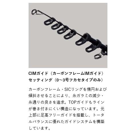 Gamakatsu（がまかつ） がま磯 アルデナ 0号 5.3m / 磯竿 【南ウキ×2個