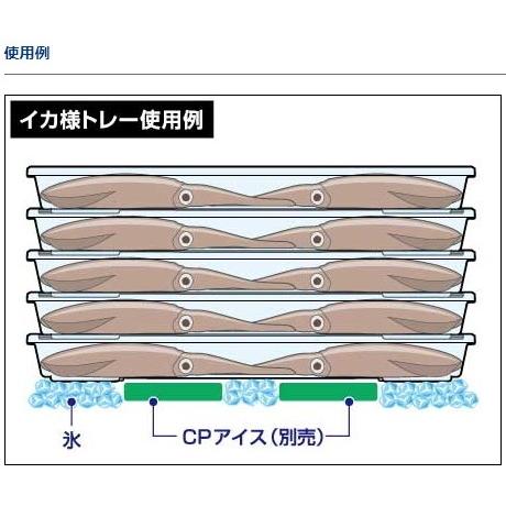 ダイワ イカ様トレー S / イカトレー｜tsuribitokan｜04