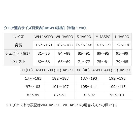 DAIWA（ダイワ） ゴアテックス パックライトR プラス レインスーツ DR