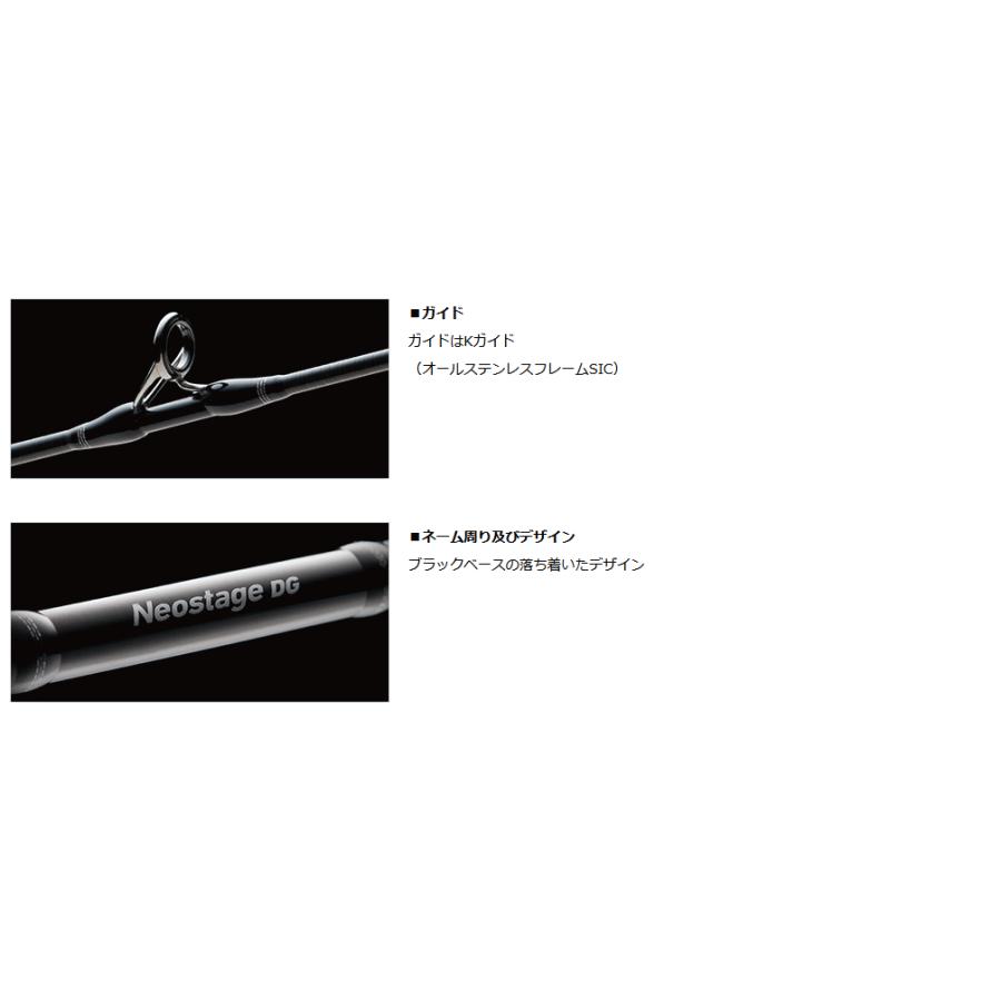 DAIWA（ダイワ） ネオステージ DG 電動ジギングモデル 63B-4G