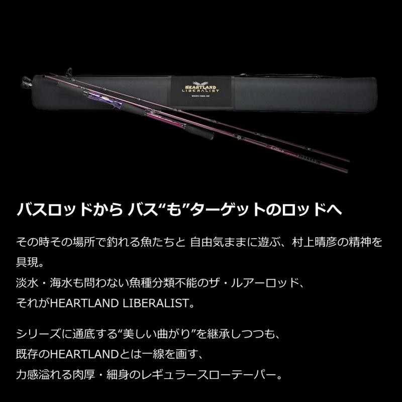 DAIWA（ダイワ） ハートランド リベラリスト ベイトモデル 803M+RSB